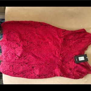 Dropping Hints Lace Fashion Nova Dress